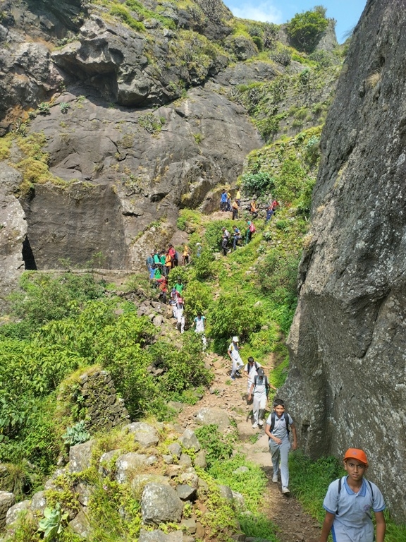 Mulher Trek Mulher Trek